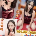 新北定點茶-美莎