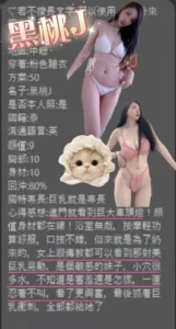 桃園定點茶-黑桃J：圖片